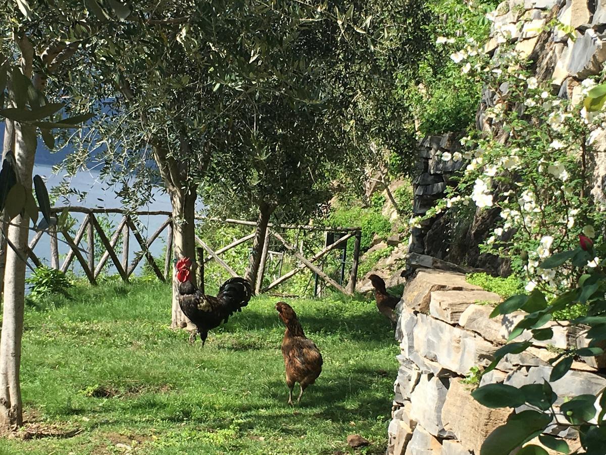 Castagna Holiday Home ネッソ エクステリア 写真